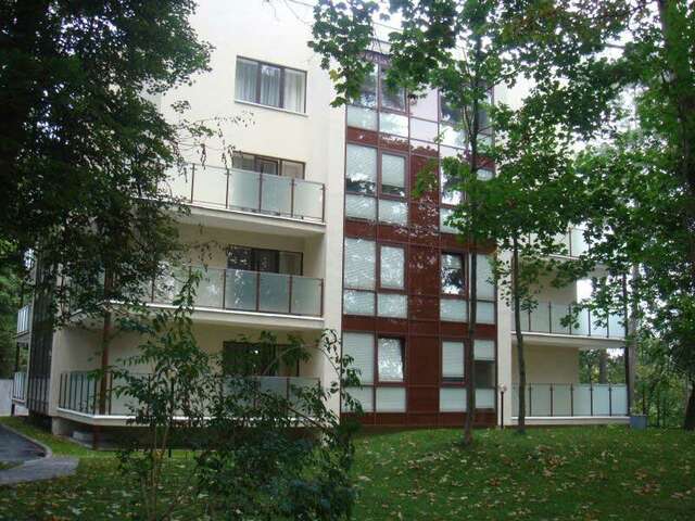 Гостевой дом Мечта Светлогорск-4