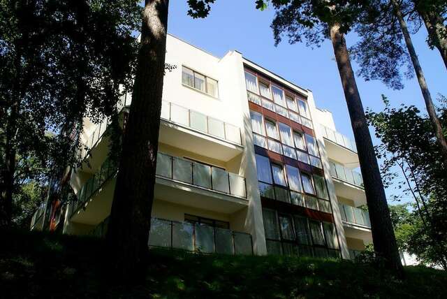 Гостевой дом Мечта Светлогорск-24